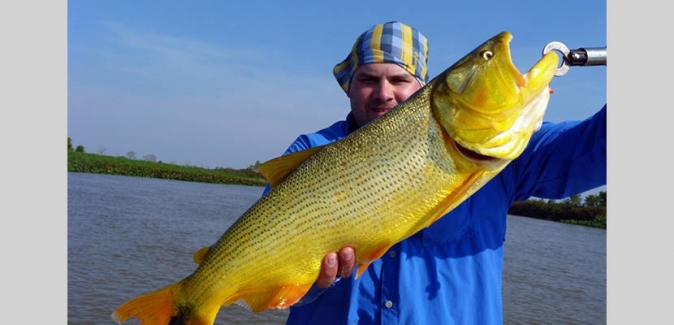 La Curiosa Excursões de Pesca - Peixes do Local