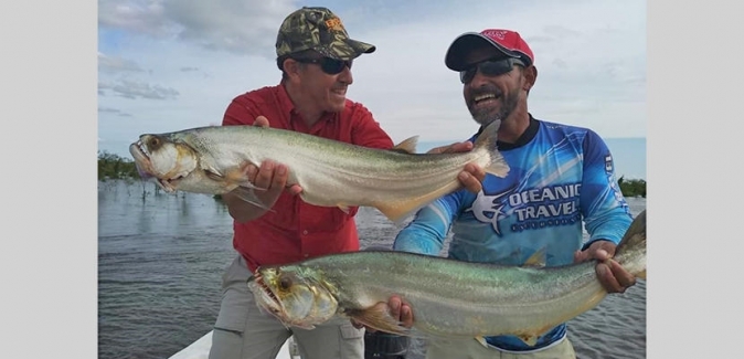 Oceanic Travel - Peixes do Local