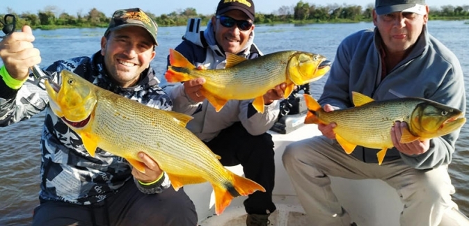 Oceanic Travel - Peixes do Local