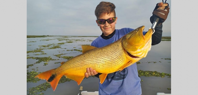 Oceanic Travel - Peixes do Local