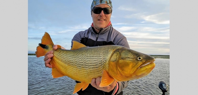 Oceanic Travel - Peixes do Local