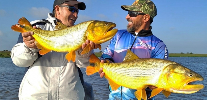 Oceanic Travel - Peixes do Local