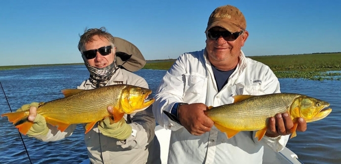 Oceanic Travel - Peixes do Local