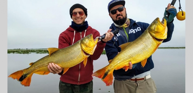 Oceanic Travel - Peixes do Local