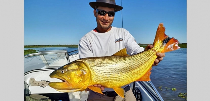 Oceanic Travel - Peixes do Local