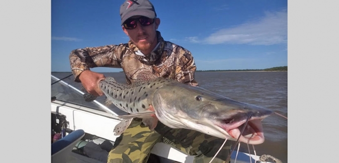 Oceanic Travel - Peixes do Local