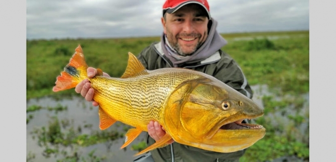 Oceanic Travel - Peixes do Local