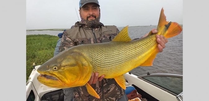 Oceanic Travel - Peixes do Local