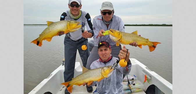 Oceanic Travel - Peixes do Local