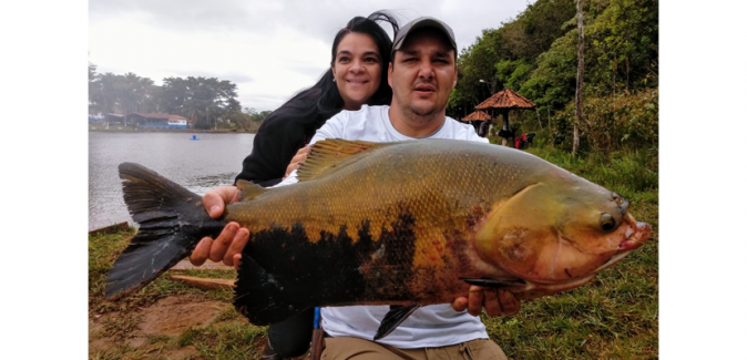 Pozza Pesqueiro - Peixes do Local