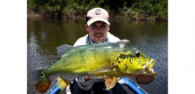 Amazon Receptive - Peixes do Local