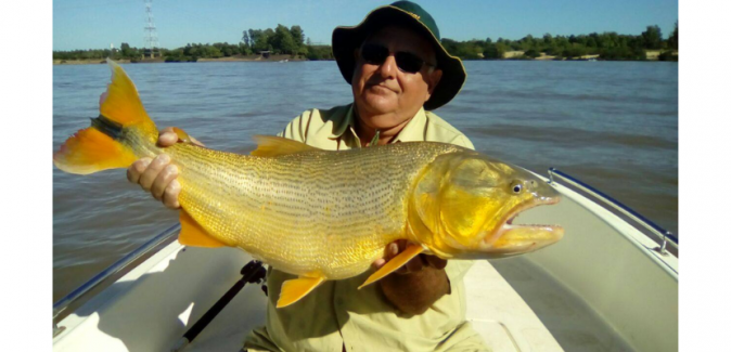 Operação Dourados Gigantes Rio Uruguai - Peixes do Local