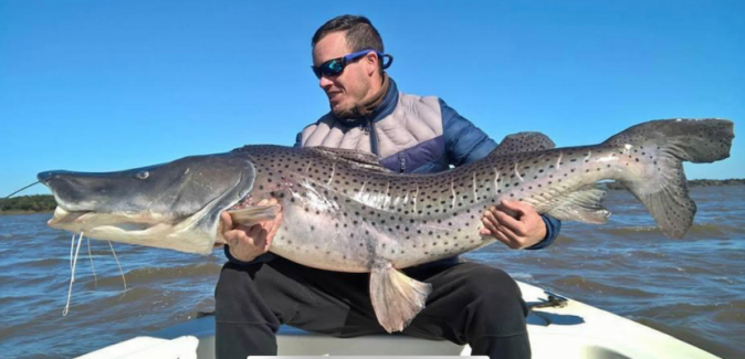 Operação Dourados Gigantes Rio Uruguai - Peixes do Local