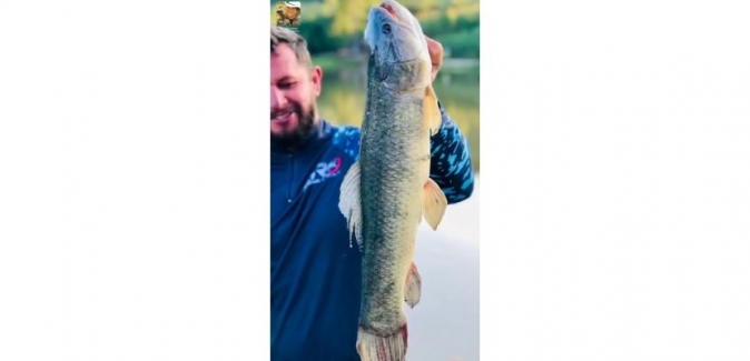 Pesqueiro Santa Regina - Peixes do Local