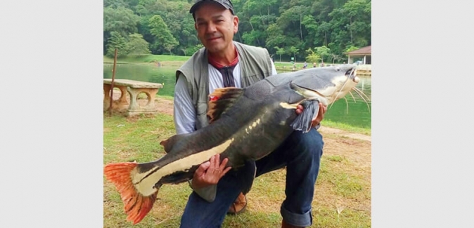 Pesqueiro Arujá - Peixes do Local