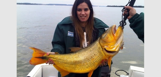 Ituzaingó Fishing - Peixes do Local