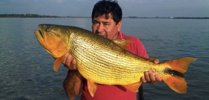 Ituzaingó Fishing - Peixes do Local