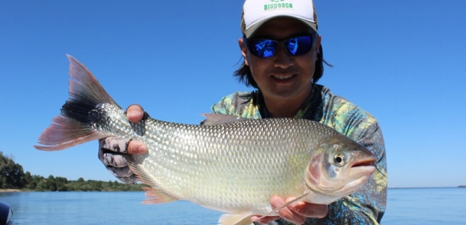 Ituzaingó Fishing - Peixes do Local