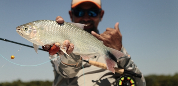 Ituzaingó Fishing - Peixes do Local