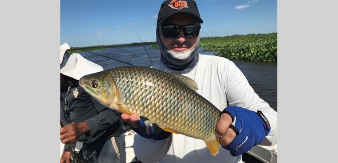 Matute Pesca - Peixes do Local