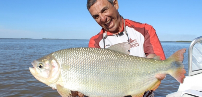 La Regina Hotel - Peixes do Local