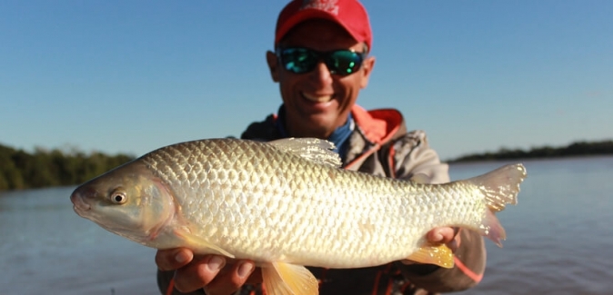 La Regina Hotel - Peixes do Local