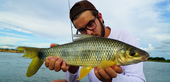 La Regina Hotel - Peixes do Local