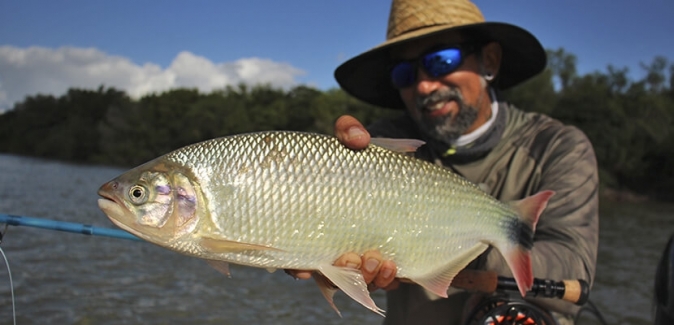 La Regina Hotel - Peixes do Local