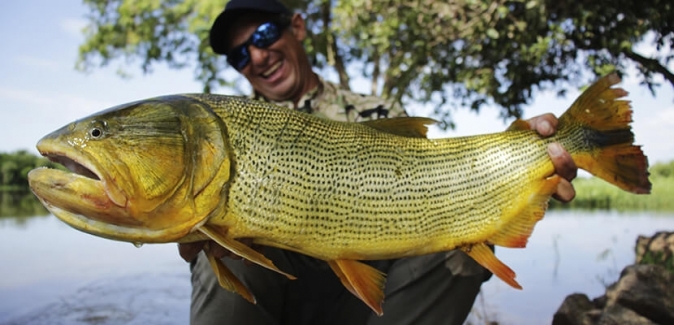 Joice Pesca & Tur - Peixes do Local