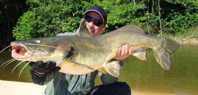 Ecolodge da Barra - Peixes do Local