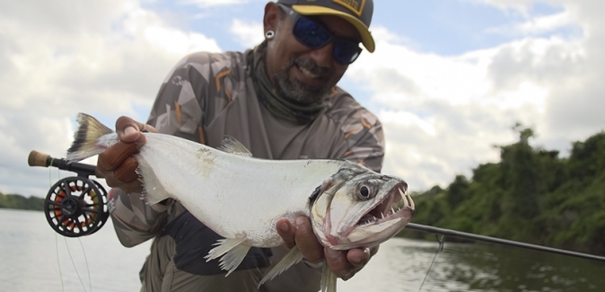 Ecolodge da Barra - Peixes do Local