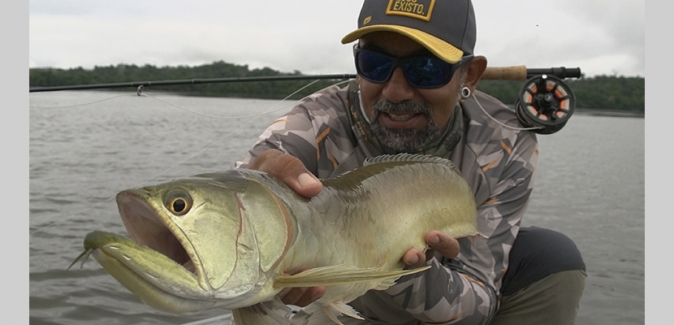 Ecolodge da Barra - Peixes do Local