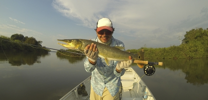 Ecolodge da Barra - Peixes do Local