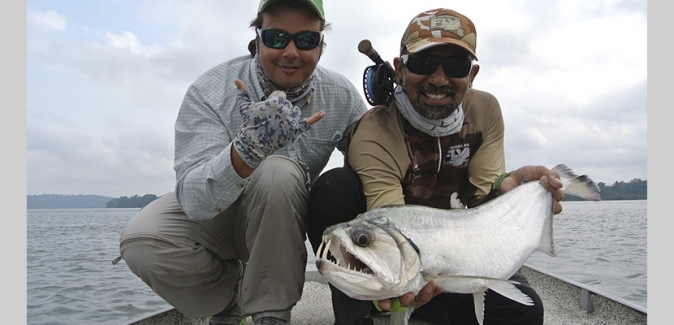 Ecolodge da Barra - Peixes do Local