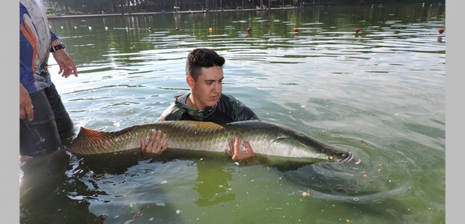 Parque Maeda - Peixes do Local