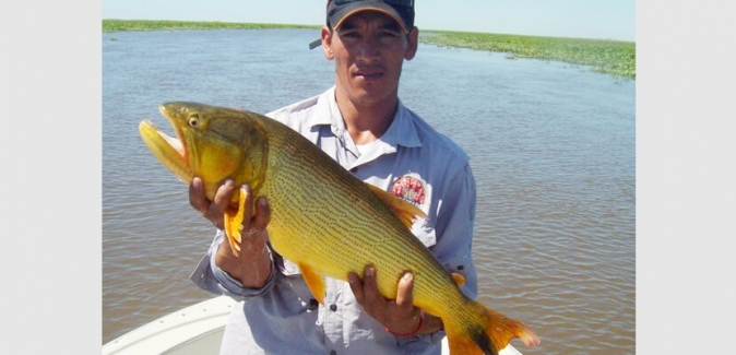 Aventura en Esquina - Peixes do Local