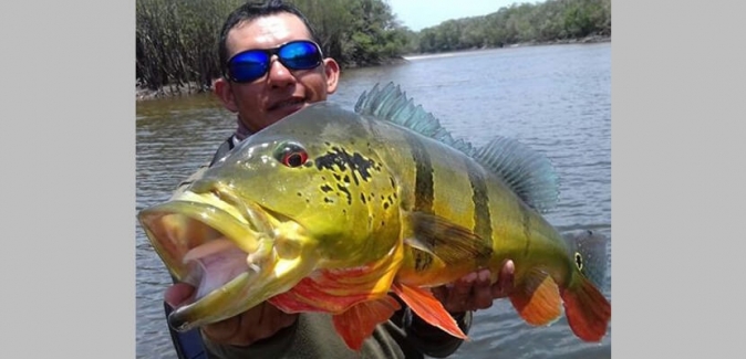 Pousada Itapará - Peixes do Local