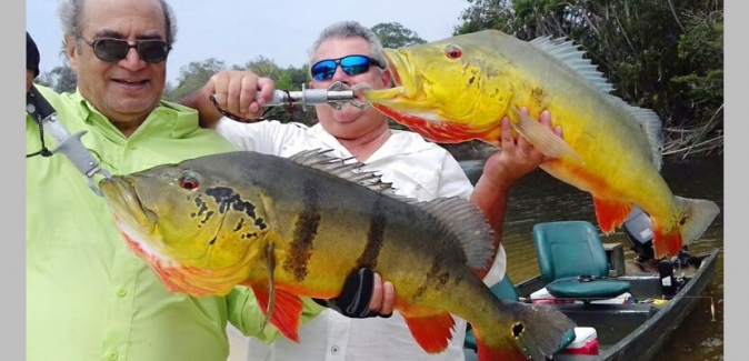 Pousada Itapará - Peixes do Local