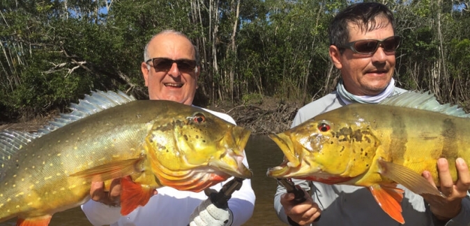 Pousada Itapará - Peixes do Local