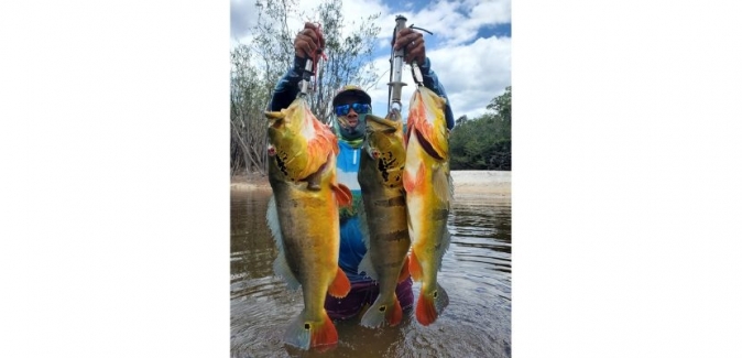 Pousada Itapará - Peixes do Local