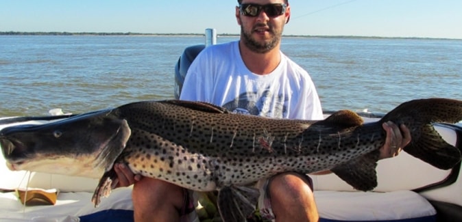 Gêmeos Pesca Esportiva - Peixes do Local