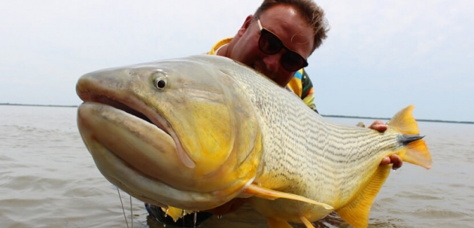 Gêmeos Pesca Esportiva - Peixes do Local