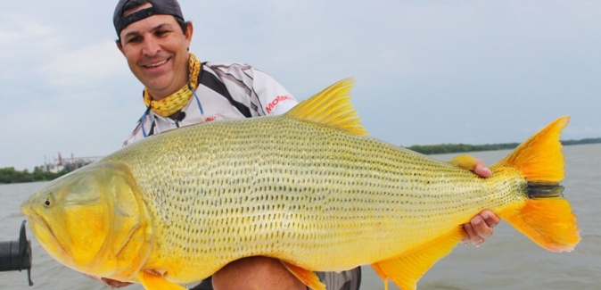 Gêmeos Pesca Esportiva - Peixes do Local