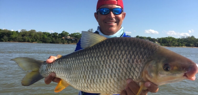 Gêmeos Pesca Esportiva - Peixes do Local