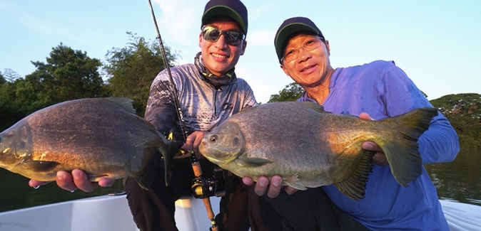 Gêmeos Pesca Esportiva - Peixes do Local