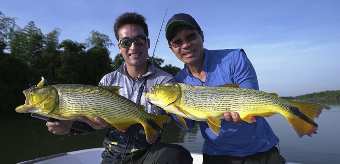 Gêmeos Pesca Esportiva - Peixes do Local