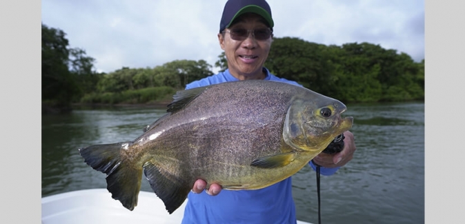 Gêmeos Pesca Esportiva - Peixes do Local