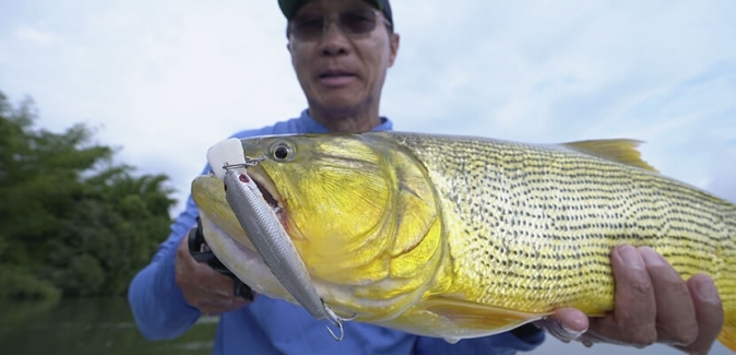 Gêmeos Pesca Esportiva - Peixes do Local