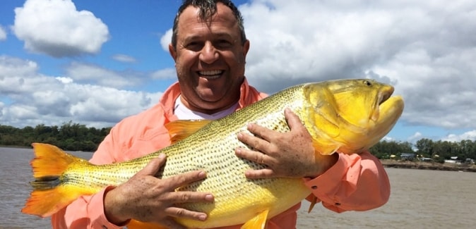 Dourado Bus - Peixes do Local