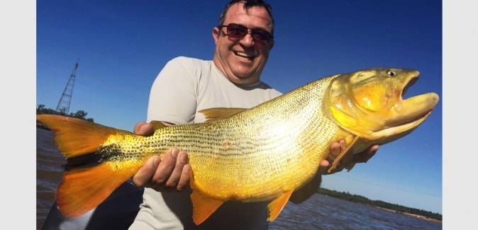 Dourado Bus - Peixes do Local